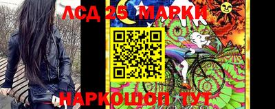 Альфа ПВП Камышлов
