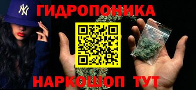 гашик Канаш
